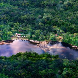 adn-amazonia-french-guiana-main-1